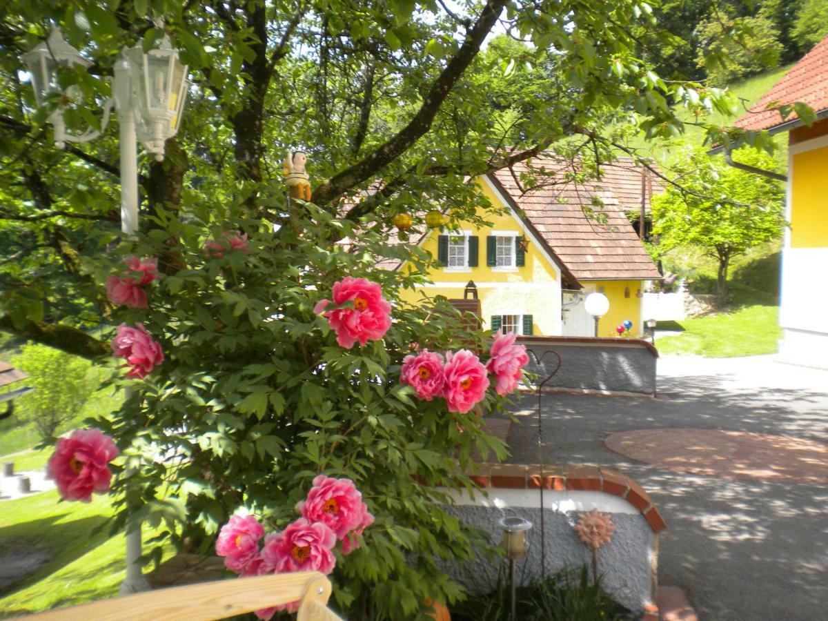 Buchschneider - Ferienhaus Maier - Landhof Schwarzautal Экстерьер фото